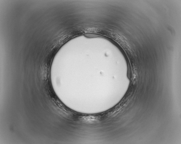 X0000115710367200912101242