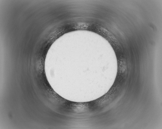 X0000115710370200912101242