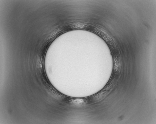 X0000115710374200912101242