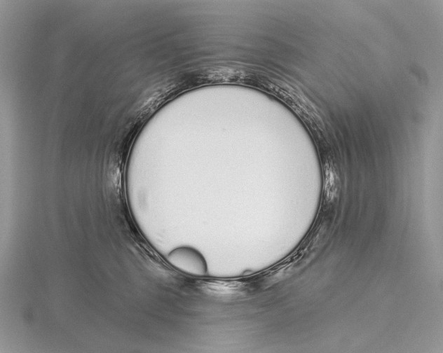 X0000115710375200912101242