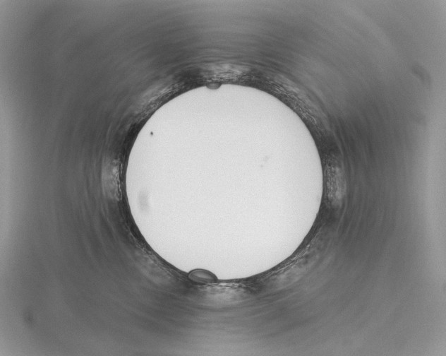 X0000115710378200912101242