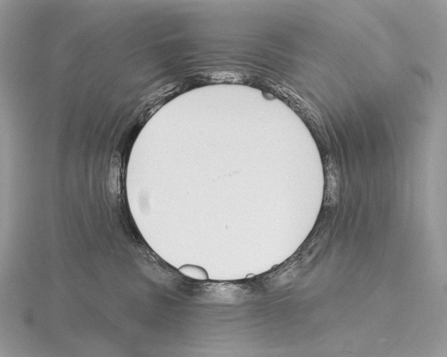 X0000115710379200912101242