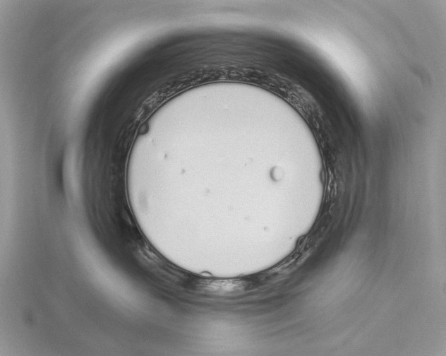 X0000115710383200912101242