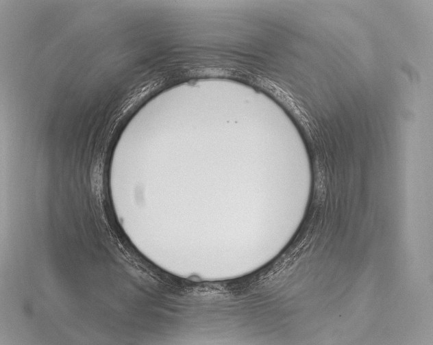 X0000115710386200912101242