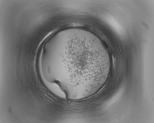 X0000115710387200912101242