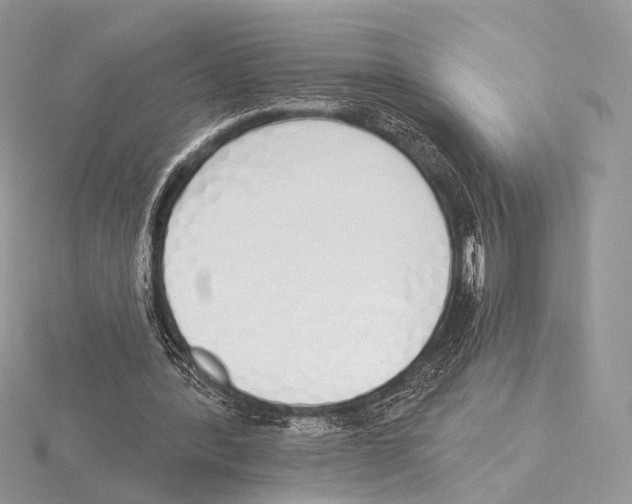 X0000115710388200912101242