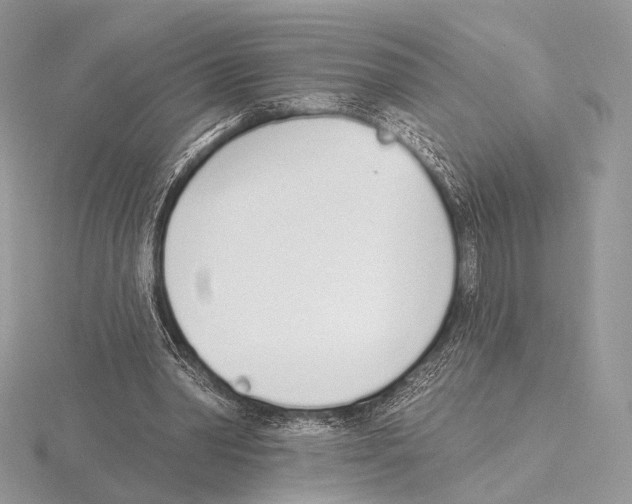 X0000115710390200912101242