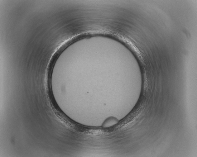 X0000115710391200912101242