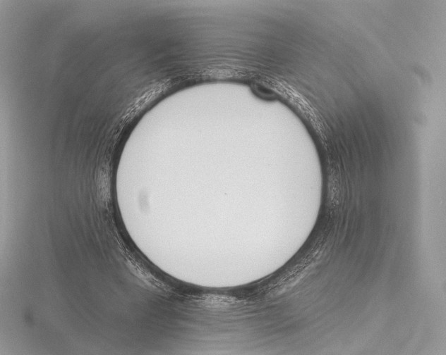 X0000115710393200912101242