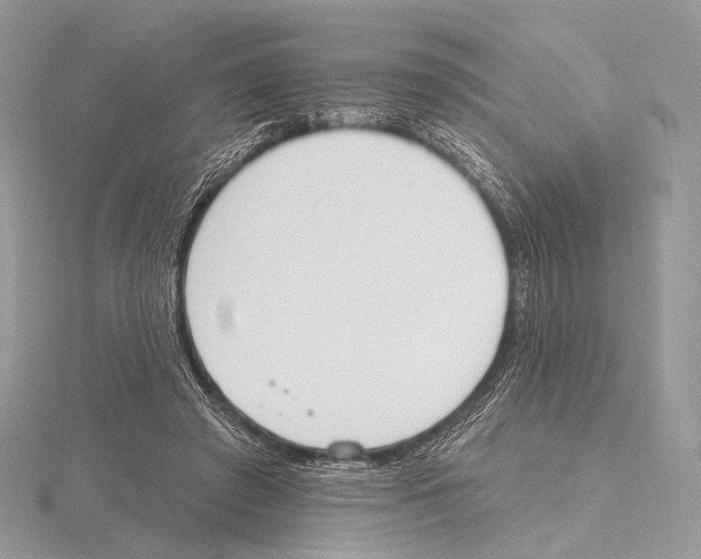 X0000115710401200912101241