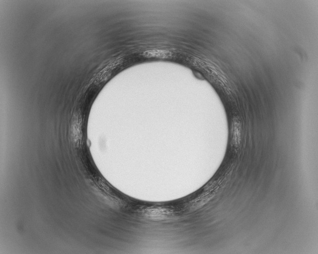 X0000115710408200912101241