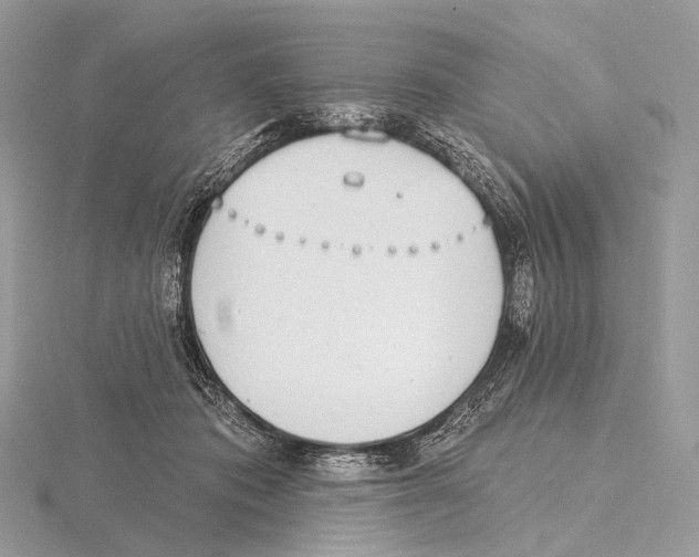 X0000115710413200912101241