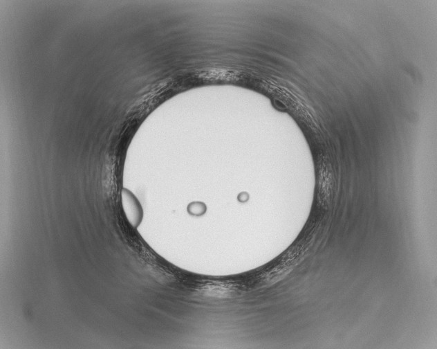 X0000115710416200912101241