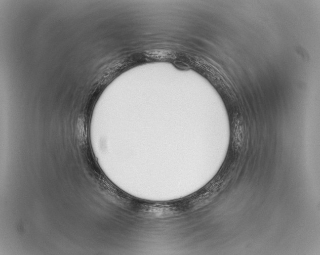 X0000115710420200912101241