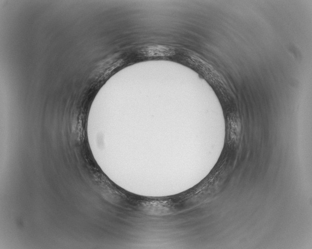 X0000115710422200912101241