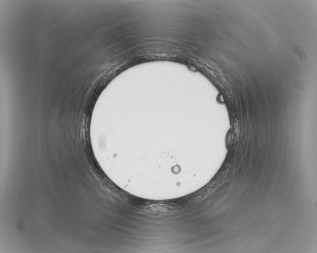 X0000115710423200912101241