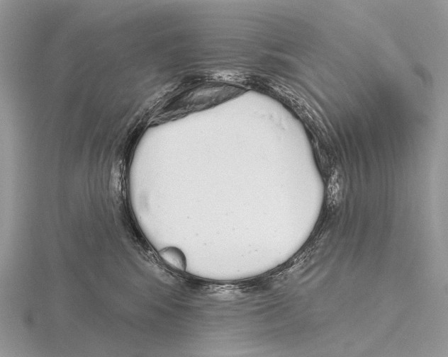 X0000115710424200912101241