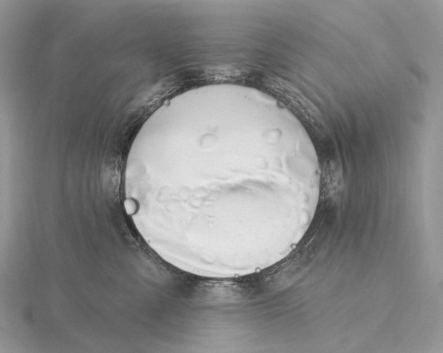 X0000115710427200912101241