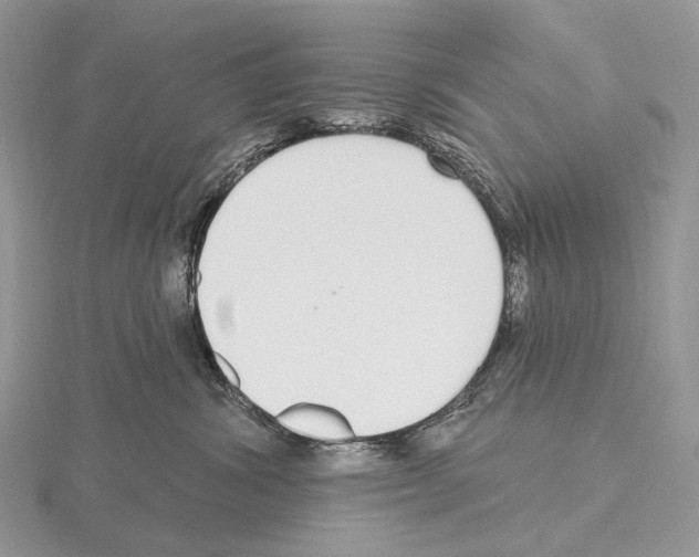 X0000115710428200912101241