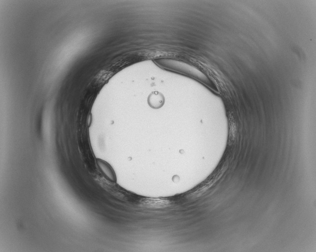 X0000115710429200912101241