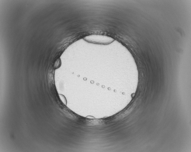 X0000115710432200912101241