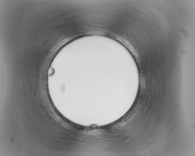 X0000115710433200912101240