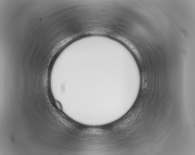 X0000115710437200912101240