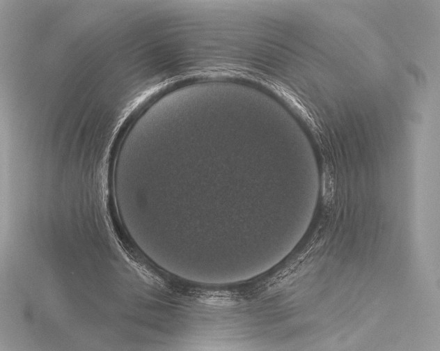 X0000115710438200912101240