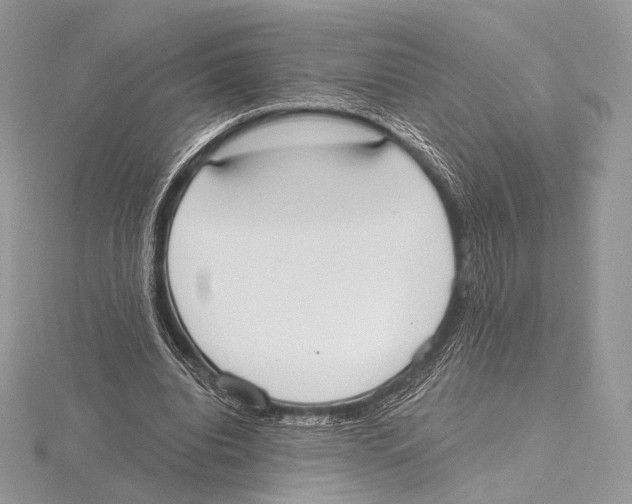 X0000115710440200912101240