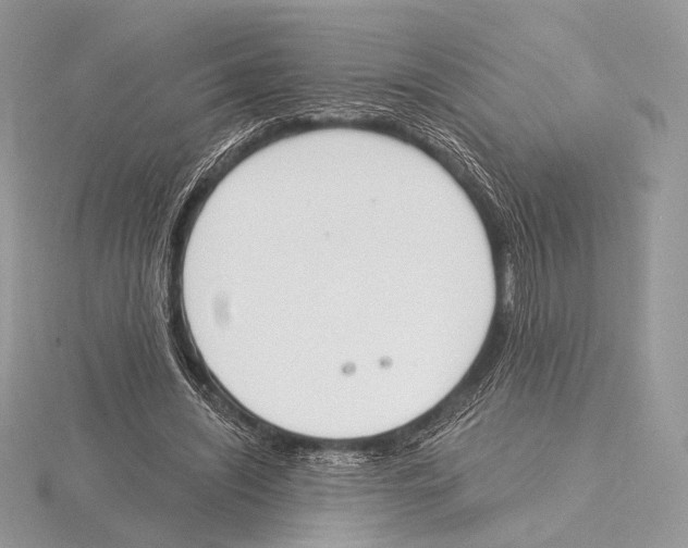 X0000115710444200912101241