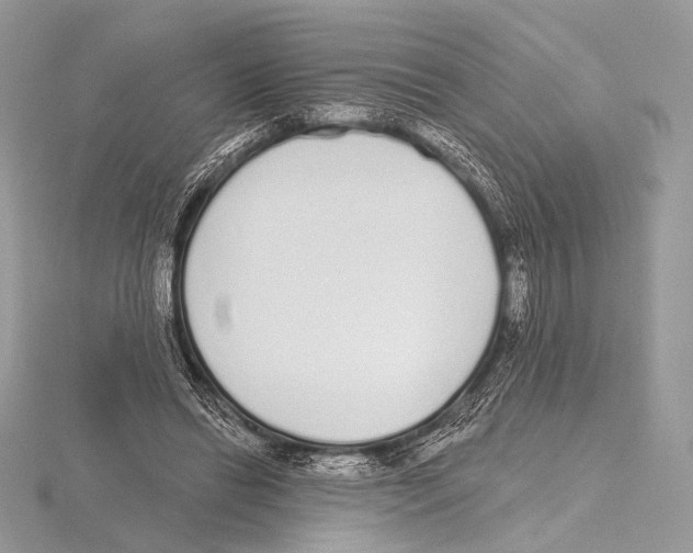 X0000115710446200912101241