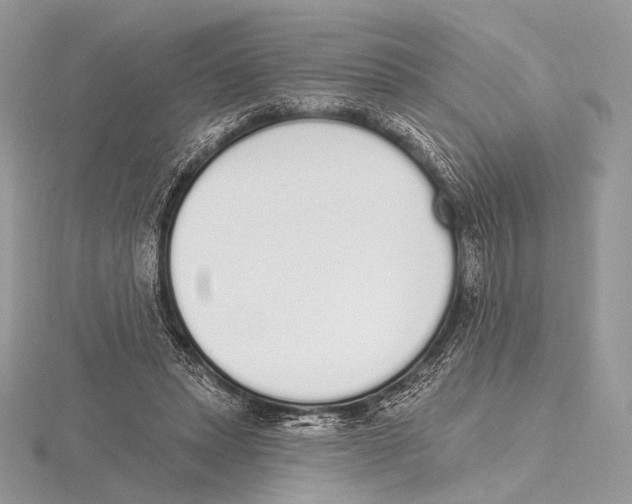 X0000115710447200912101241