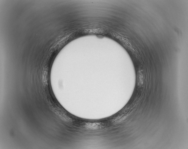 X0000115710450200912101241