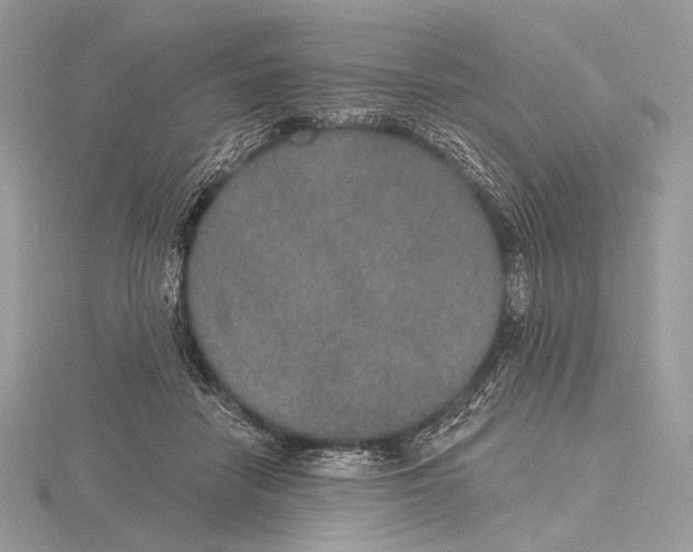 X0000115710458200912101241