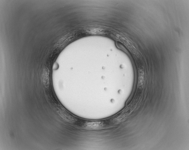 X0000115710461200912101241