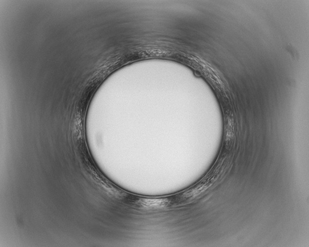 X0000115710465200912101241