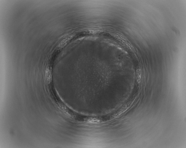 X0000115710471200912101241