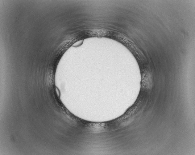 X0000115710474200912101241