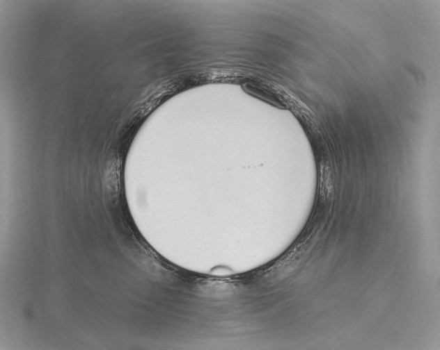 X0000115710475200912101241