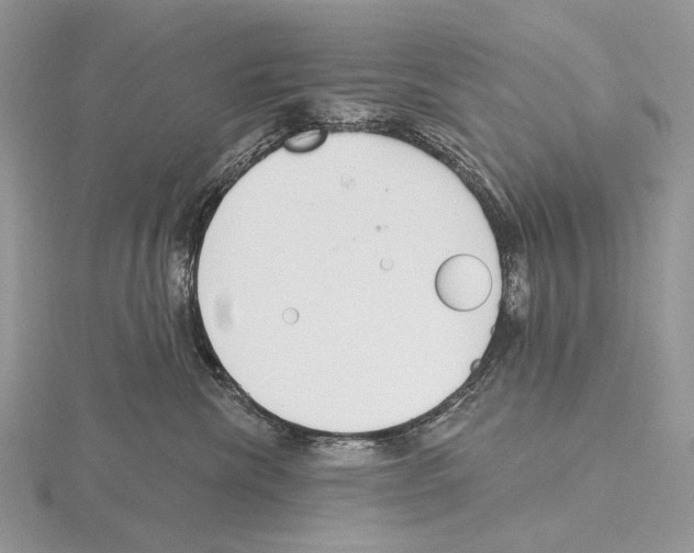 X0000115710476200912101241