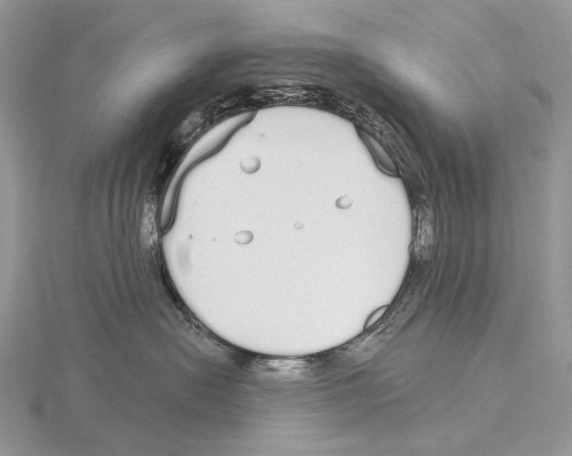 X0000115710478200912101241