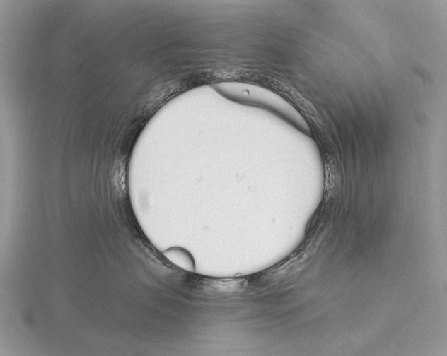 X0000115710479200912101241