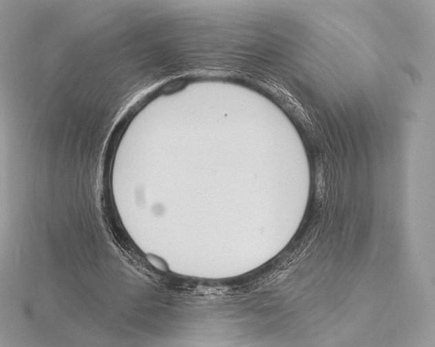 X0000115710484200912101240