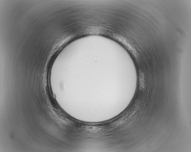 X0000115710486200912101240