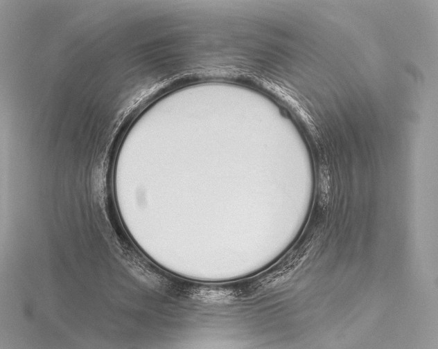 X0000115710487200912101240