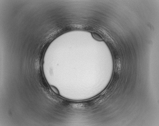 X0000115710500200912101240