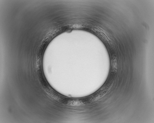 X0000115710503200912101240