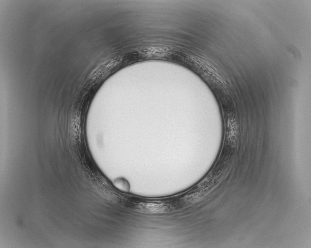 X0000115710506200912101240