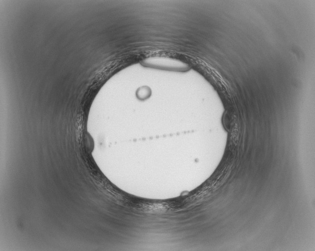 X0000115710513200912101240