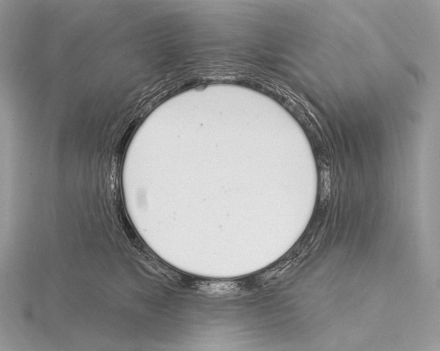 X0000115710517200912101240